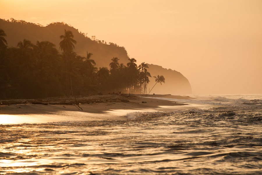 Atardecer en Playa de Palomino, olas del mar tranquilas y palmeras de fondo